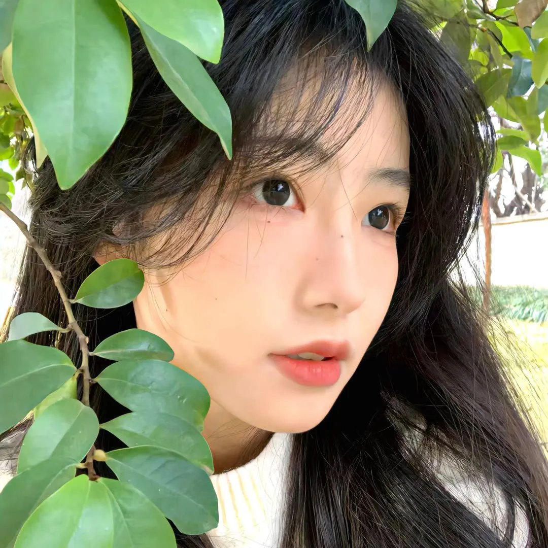 伊莎朵拉的眼泪